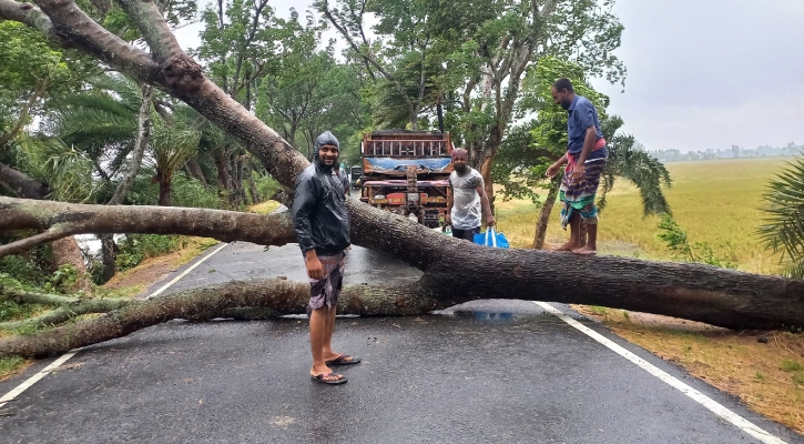 ঘূর্ণিঝড় রিমাল: নাটোরে ভেঙে পড়েছে গাছপালা-বৈদ্যুতিক খুঁটি